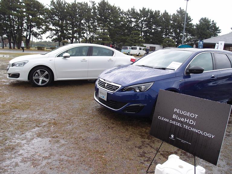 Peugeot Meeting16-14.JPG
